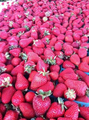 Fresh berries