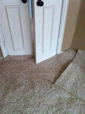 Is this the best placement if seams, in front of the door that gets traffic?  required because carpet order was short