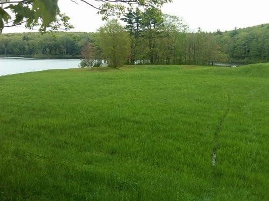 The banks of Thousand Acre Swamp in early morn!