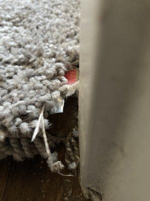 Sharp metal piece jutting out from carpet