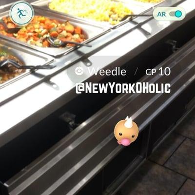 Grabbin food with Weedle!