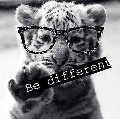 Our Motto and Logo  - Don't follow the masses. Be Different!