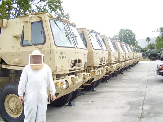 Army Base Bee Removal