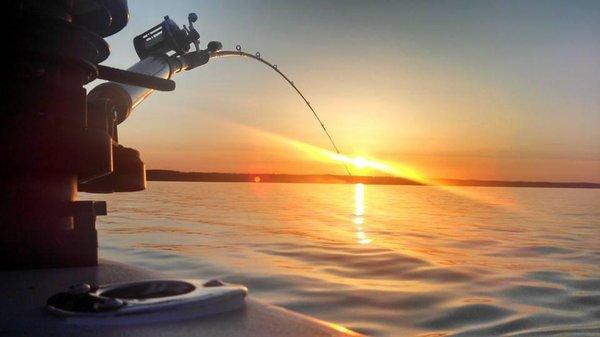 Reel Stories Fishing Charters