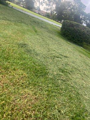 heavy layer of grass clippings left all over our 14k sf lawn, a disaster!