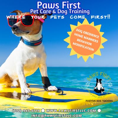 Dog wearing sunglasses riding a surfboard paws first pet care & dog training