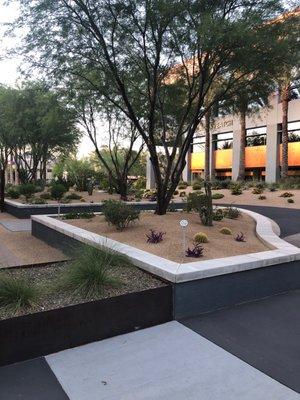 Courtyard area