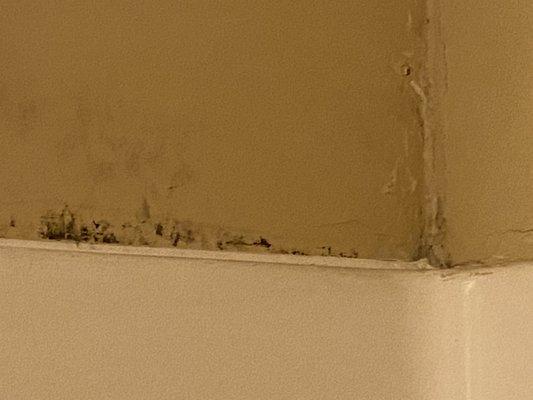 Mold in bathroom