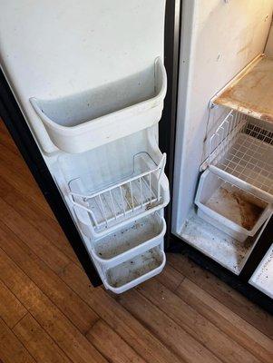 Before refrigerator clean