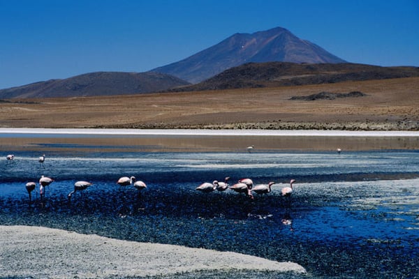 Bolivia Altiplano