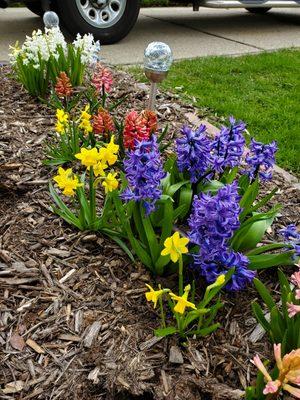 Add spring bulbs for early color.