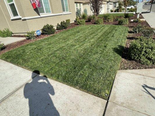 Lawn maintenance