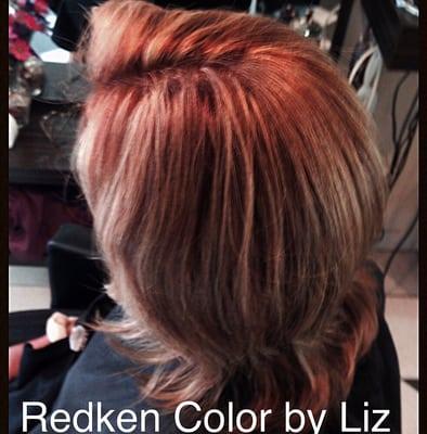 Redken color with highlights