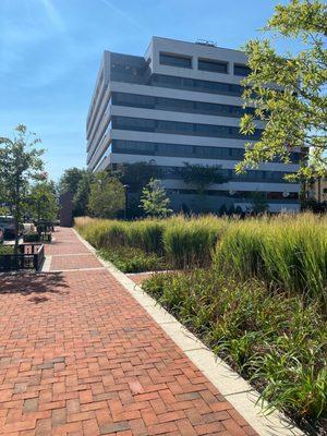 Park next to building