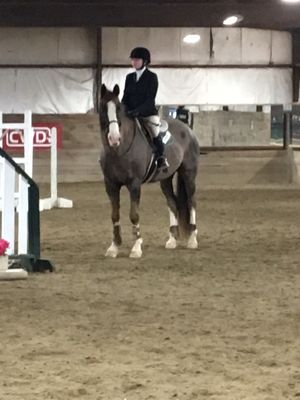 IEA show