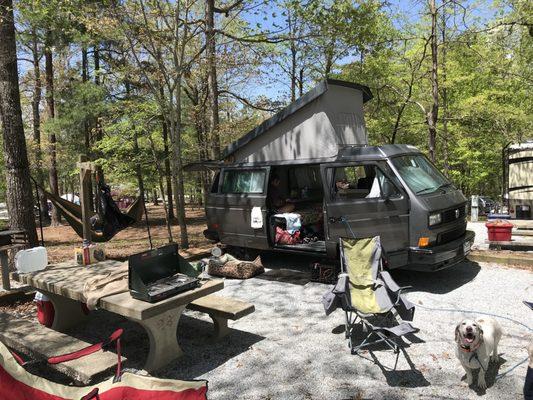 1989 VW Vanagon Westfalia