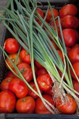 Jamaica Farmers Market