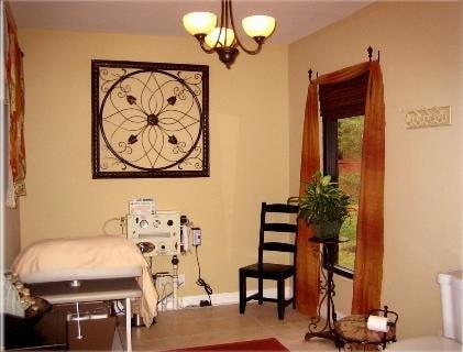 Colon Hydrotherapy (colonic) room 2