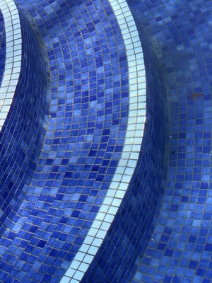 Algae that hasn't been brushed from my pool.