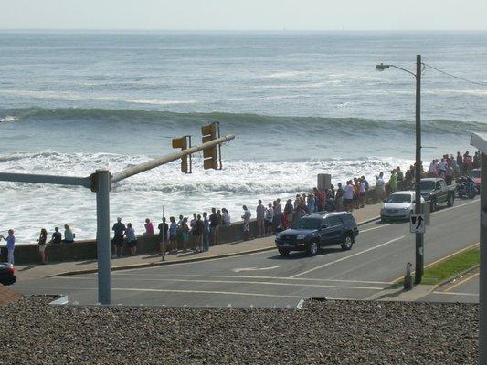 Fill up a beach pail of candy and walk to the seawall to watch the surfers......