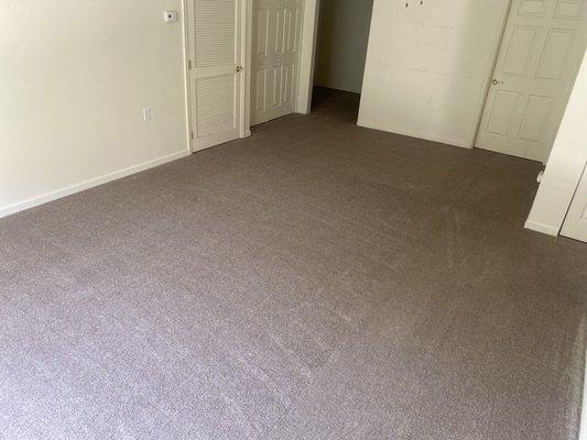 Carpet Cleaning