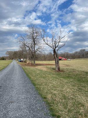 Poplar Spring Animal Sanctuary