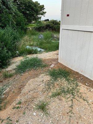 Raw sewage spilling out from under the house