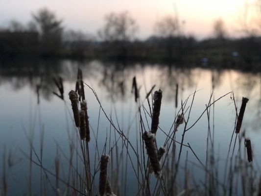 Chippewa Lake