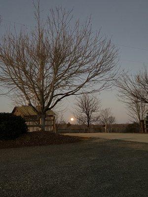 Moonrise from Tasting Room parking