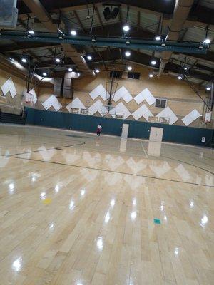 The Gym