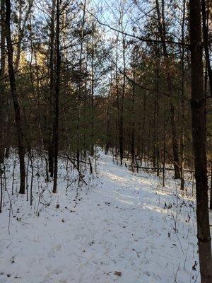 Hidden falls trail