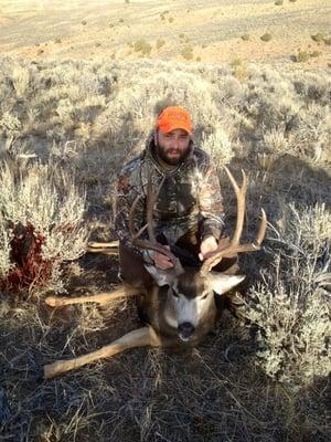 Bill's Colorado mule deer