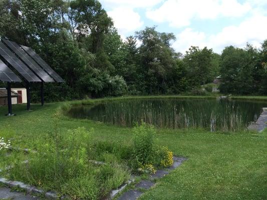 Pond at entrance with solar panels. Entire grounds and living quarters are Eco-friendly