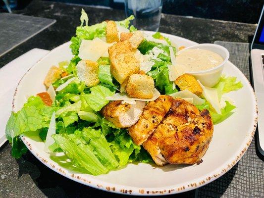 Caesar Salad w/ Chicken