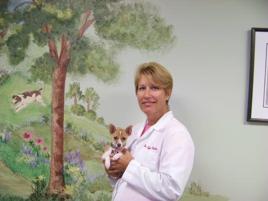 Newington Veterinary Clinic