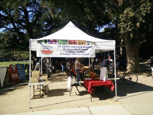 UC Davis Farmers Market