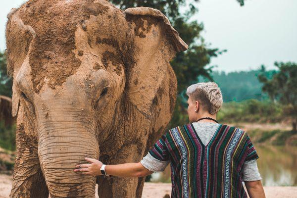 Visit an elephant sanctuary in Thailand. Learn about elephants, help care for them, and enjoy a lunch afterwards.