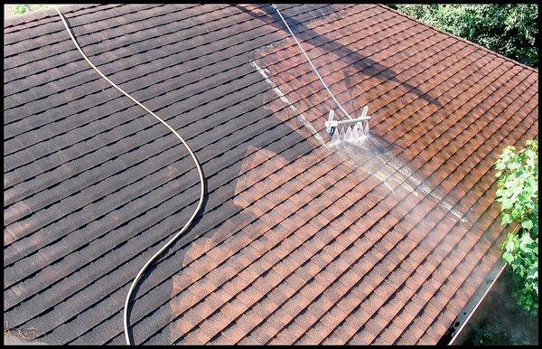 Roof cleaning