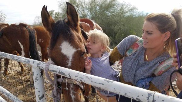 Chandler Vaqueros Saddle Club