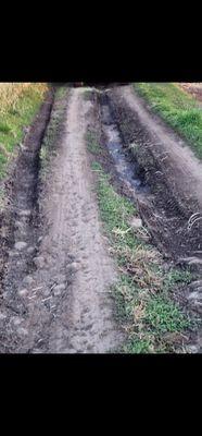 Washed out ranch road from irrigation ditch