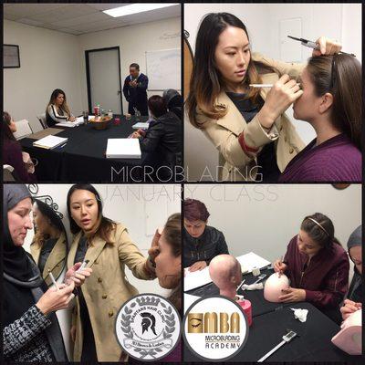 6 days hands on training with Lead instructor Anna and Terry-Micro B Academy & Spartans MicroPigmentation