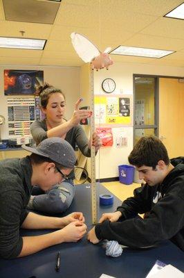 Physics, flying pig experiment.