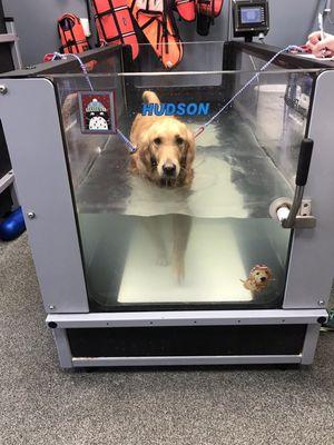 Water treadmills.  Very clean.