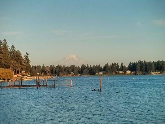 Such a great view of Mt. Rainier!