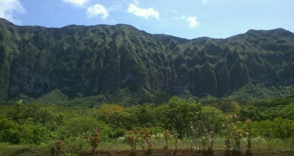 Wellness embraced by the Ko'olau.