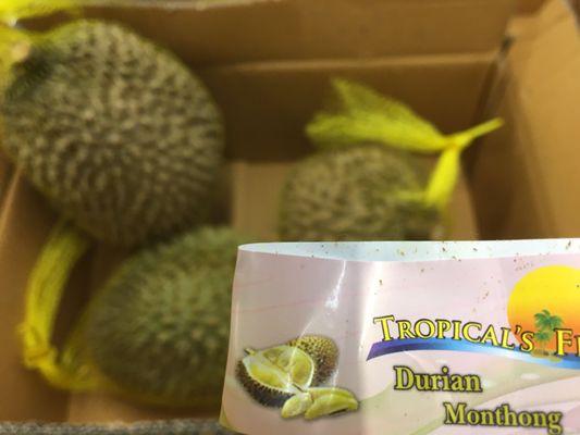 Hah! Durian? Seriously going to have to try that...