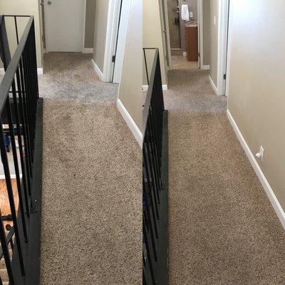 Before & After - Sometimes a little steam clean is all your carpet needs to look and feel brand new again!