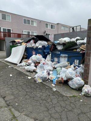 Trash area. Steps away from a play area. If someone was to fall and cut themselves, it can be a bad bacteria infection.