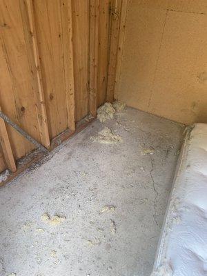 Rodent feces and nest