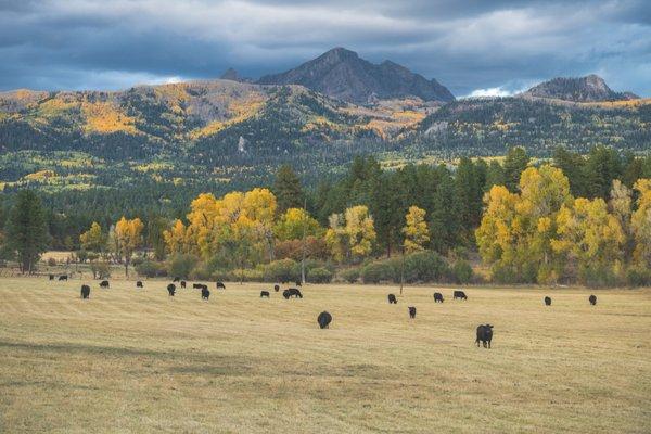 Eagle Peak - Pagosa Springs, CO